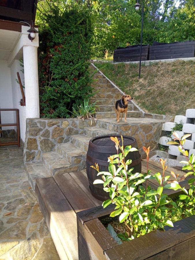 Cesargradska Klet Διαμέρισμα Tuhelj Εξωτερικό φωτογραφία
